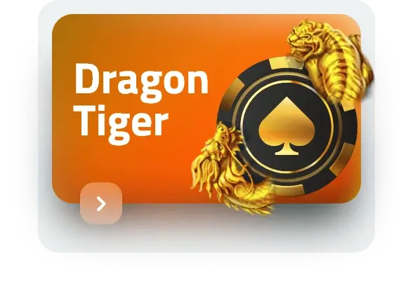 tiger exchange 247